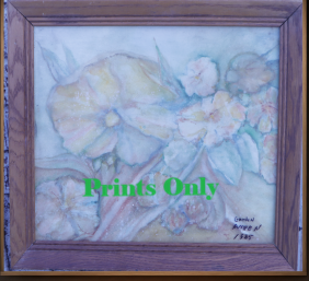 artist in beaver county